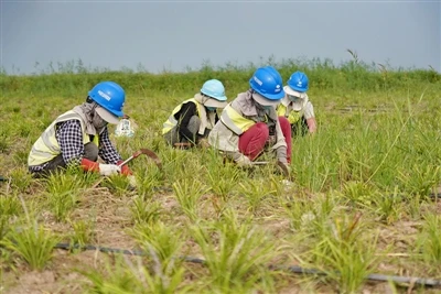 The World Union For Conservation Of Nature (IUCN) Released The Nature 2030 Alliance Plan