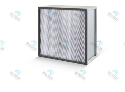 High Efficiency Filter With Partition